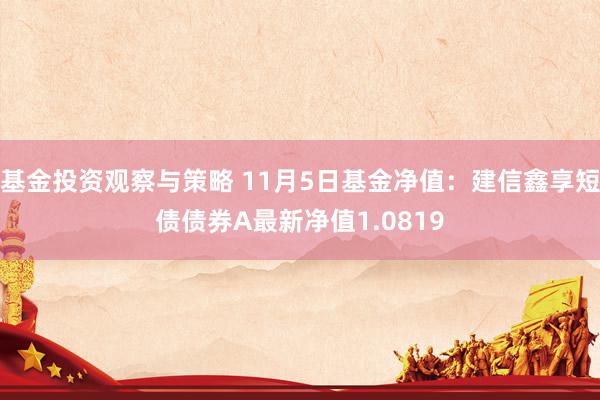 基金投资观察与策略 11月5日基金净值：建信鑫享短债债券A最新净值1.0819