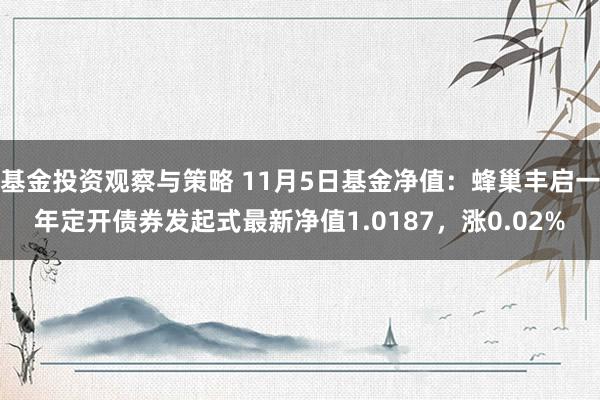 基金投资观察与策略 11月5日基金净值：蜂巢丰启一年定开债券发起式最新净值1.0187，涨0.02%