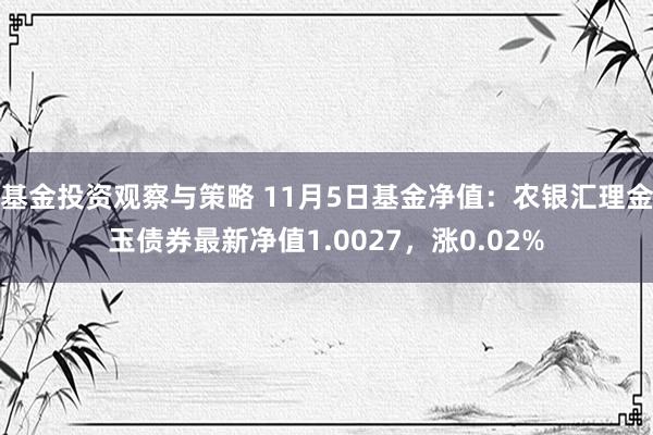 基金投资观察与策略 11月5日基金净值：农银汇理金玉债券最新净值1.0027，涨0.02%