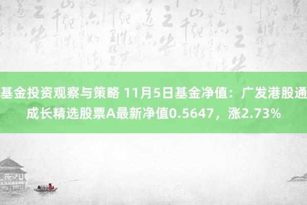 基金投资观察与策略 11月5日基金净值：广发港股通成长精选股票A最新净值0.5647，涨2.73%