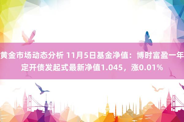 黄金市场动态分析 11月5日基金净值：博时富盈一年定开债发起式最新净值1.045，涨0.01%