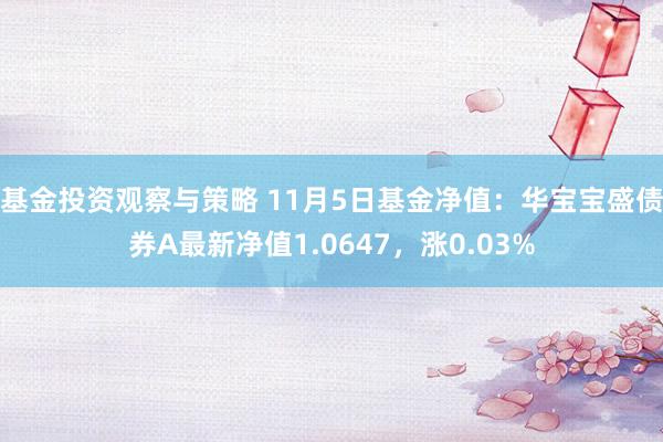 基金投资观察与策略 11月5日基金净值：华宝宝盛债券A最新净值1.0647，涨0.03%