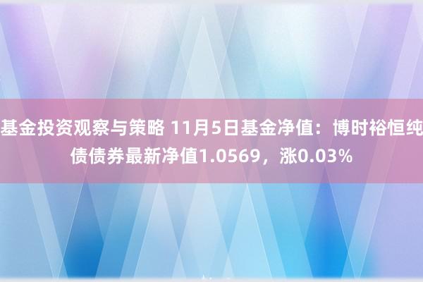 基金投资观察与策略 11月5日基金净值：博时裕恒纯债债券最新净值1.0569，涨0.03%