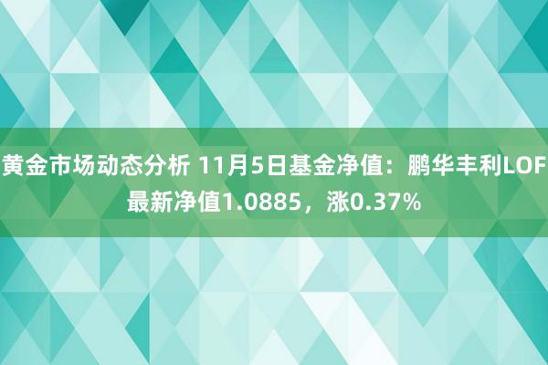 黄金市场动态分析 11月5日基金净值：鹏华丰利LOF最新净值1.0885，涨0.37%