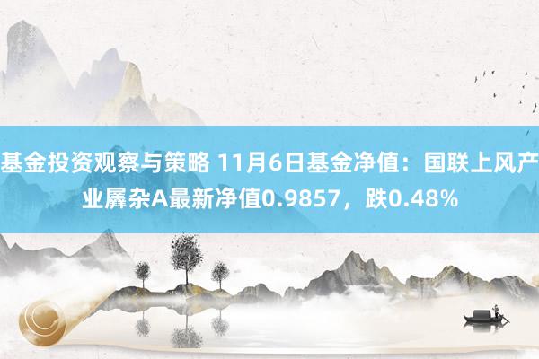 基金投资观察与策略 11月6日基金净值：国联上风产业羼杂A最新净值0.9857，跌0.48%