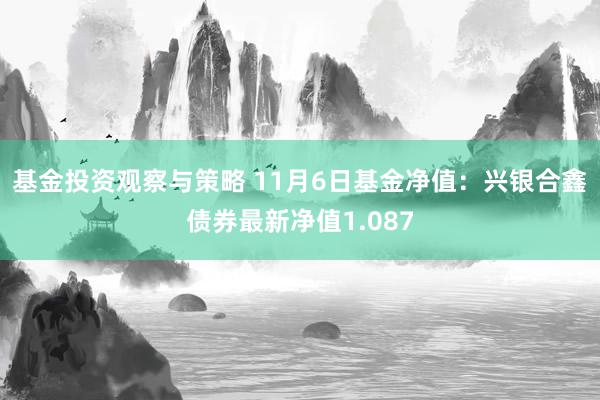 基金投资观察与策略 11月6日基金净值：兴银合鑫债券最新净值1.087