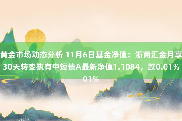 黄金市场动态分析 11月6日基金净值：浙商汇金月享30天转变执有中短债A最新净值1.1084，跌0.01%