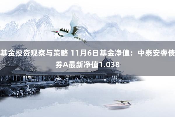 基金投资观察与策略 11月6日基金净值：中泰安睿债券A最新净值1.038