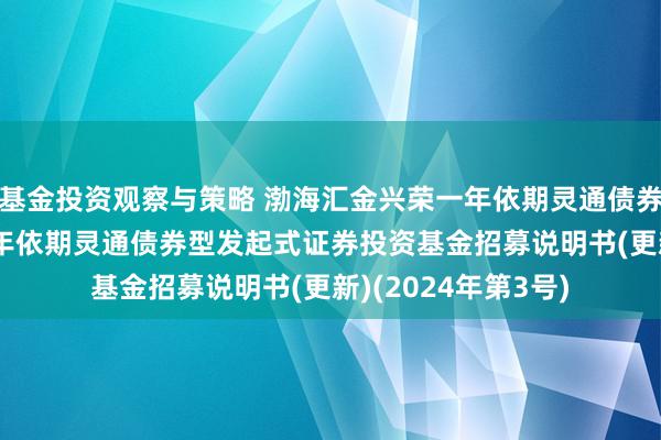 基金投资观察与策略 渤海汇金兴荣一年依期灵通债券: 渤海汇金兴荣一年依期灵通债券型发起式证券投资基金招募说明书(更新)(2024年第3号)