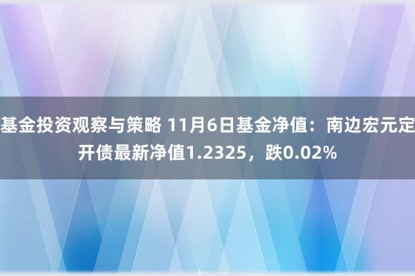 基金投资观察与策略 11月6日基金净值：南边宏元定开债最新净值1.2325，跌0.02%