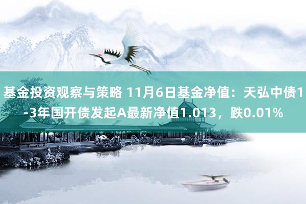 基金投资观察与策略 11月6日基金净值：天弘中债1-3年国开债发起A最新净值1.013，跌0.01%