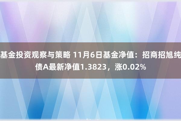 基金投资观察与策略 11月6日基金净值：招商招旭纯债A最新净值1.3823，涨0.02%