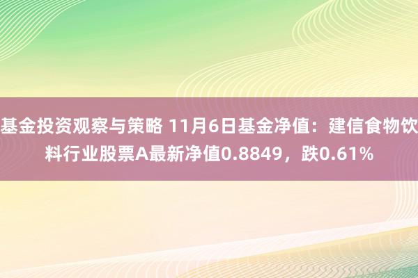 基金投资观察与策略 11月6日基金净值：建信食物饮料行业股票A最新净值0.8849，跌0.61%