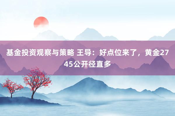 基金投资观察与策略 王导：好点位来了，黄金2745公开径直多