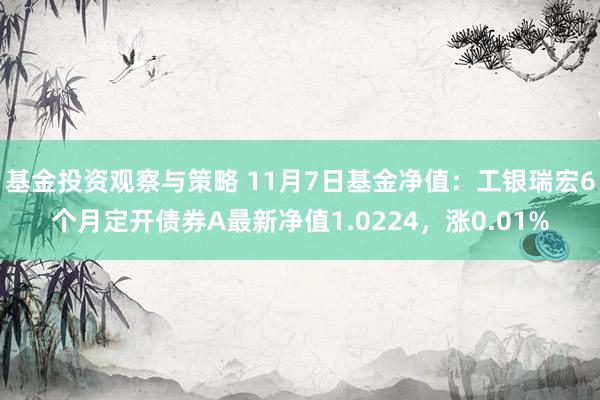 基金投资观察与策略 11月7日基金净值：工银瑞宏6个月定开债券A最新净值1.0224，涨0.01%