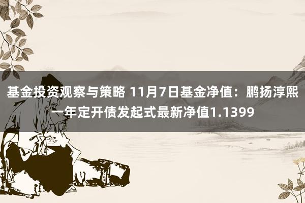 基金投资观察与策略 11月7日基金净值：鹏扬淳熙一年定开债发起式最新净值1.1399