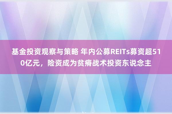 基金投资观察与策略 年内公募REITs募资超510亿元，险资成为贫瘠战术投资东说念主