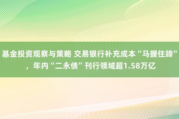 基金投资观察与策略 交易银行补充成本“马握住蹄” ，年内“二永债”刊行领域超1.58万亿