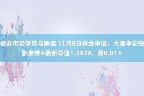 债券市场研究与解读 11月8日基金净值：大澄净安短融债券A最新净值1.2929，涨0.01%