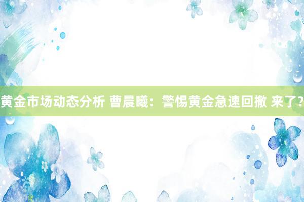 黄金市场动态分析 曹晨曦：警惕黄金急速回撤 来了？