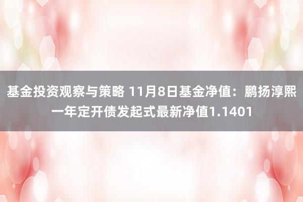 基金投资观察与策略 11月8日基金净值：鹏扬淳熙一年定开债发起式最新净值1.1401