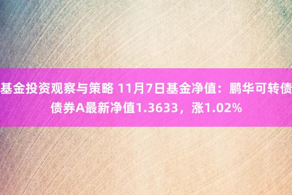 基金投资观察与策略 11月7日基金净值：鹏华可转债债券A最新净值1.3633，涨1.02%