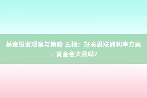 基金投资观察与策略 王杨：好意思联储利率方案，黄金会大涨吗？