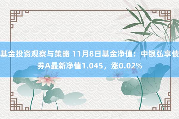 基金投资观察与策略 11月8日基金净值：中银弘享债券A最新净值1.045，涨0.02%