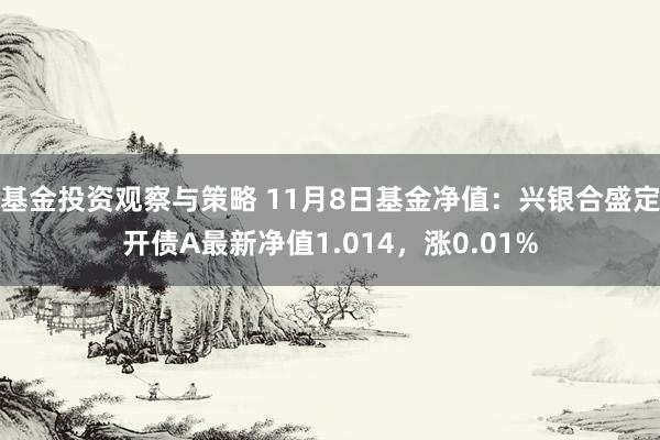 基金投资观察与策略 11月8日基金净值：兴银合盛定开债A最新净值1.014，涨0.01%