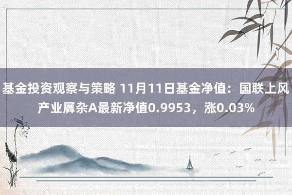 基金投资观察与策略 11月11日基金净值：国联上风产业羼杂A最新净值0.9953，涨0.03%