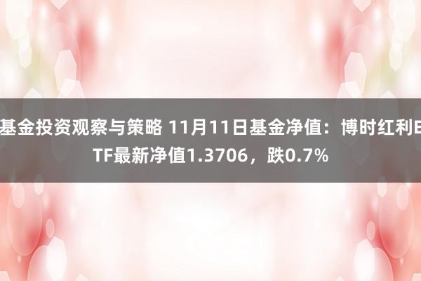 基金投资观察与策略 11月11日基金净值：博时红利ETF最新净值1.3706，跌0.7%