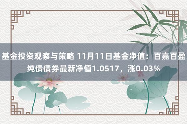 基金投资观察与策略 11月11日基金净值：百嘉百盈纯债债券最新净值1.0517，涨0.03%