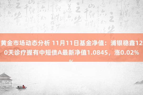 黄金市场动态分析 11月11日基金净值：浦银稳鑫120天诊疗握有中短债A最新净值1.0845，涨0.02%