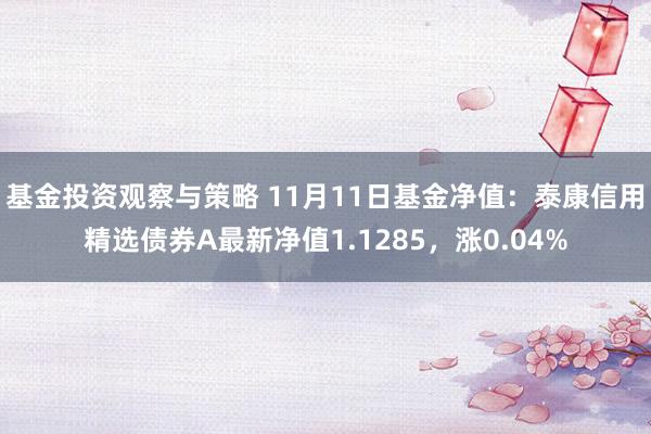 基金投资观察与策略 11月11日基金净值：泰康信用精选债券A最新净值1.1285，涨0.04%