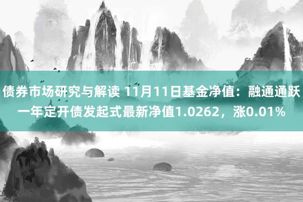 债券市场研究与解读 11月11日基金净值：融通通跃一年定开债发起式最新净值1.0262，涨0.01%