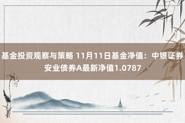 基金投资观察与策略 11月11日基金净值：中银证券安业债券A最新净值1.0787