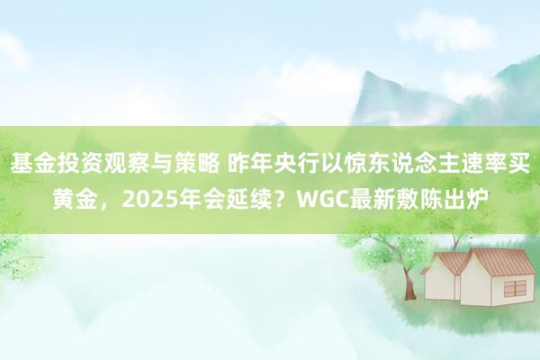 基金投资观察与策略 昨年央行以惊东说念主速率买黄金，2025年会延续？WGC最新敷陈出炉