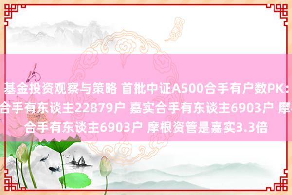 基金投资观察与策略 首批中证A500合手有户数PK：摩根中证A500ETF合手有东谈主22879户 嘉实合手有东谈主6903户 摩根资管是嘉实3.3倍