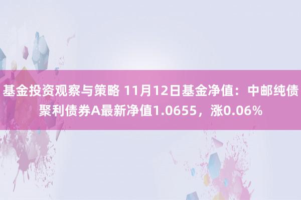 基金投资观察与策略 11月12日基金净值：中邮纯债聚利债券A最新净值1.0655，涨0.06%