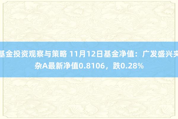 基金投资观察与策略 11月12日基金净值：广发盛兴夹杂A最新净值0.8106，跌0.28%