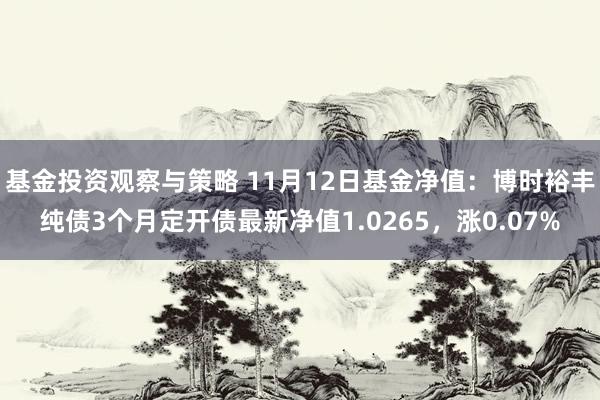 基金投资观察与策略 11月12日基金净值：博时裕丰纯债3个月定开债最新净值1.0265，涨0.07%