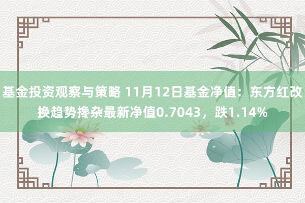 基金投资观察与策略 11月12日基金净值：东方红改换趋势搀杂最新净值0.7043，跌1.14%