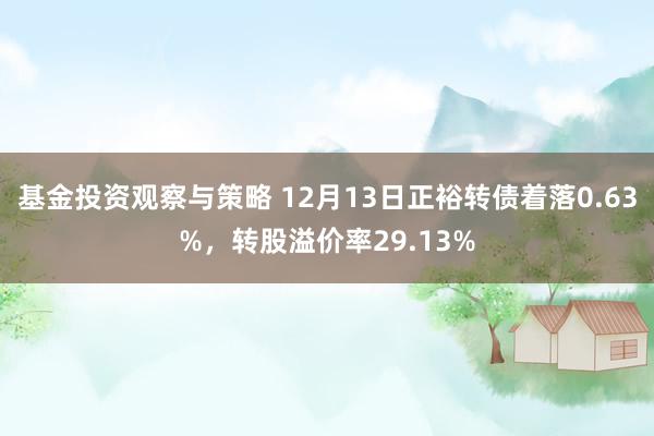 基金投资观察与策略 12月13日正裕转债着落0.63%，转股溢价率29.13%