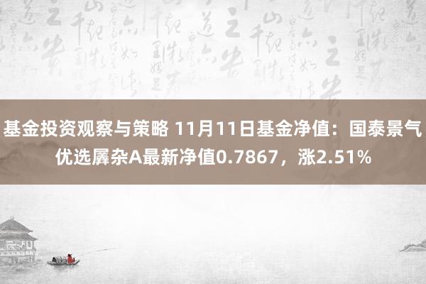 基金投资观察与策略 11月11日基金净值：国泰景气优选羼杂A最新净值0.7867，涨2.51%