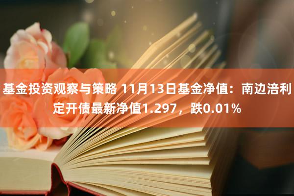 基金投资观察与策略 11月13日基金净值：南边涪利定开债最新净值1.297，跌0.01%