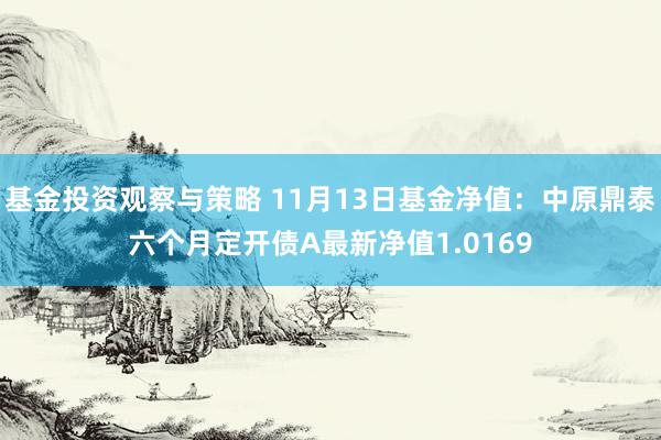 基金投资观察与策略 11月13日基金净值：中原鼎泰六个月定开债A最新净值1.0169