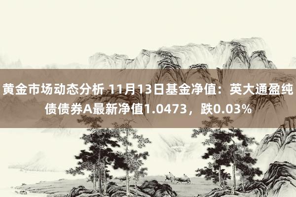 黄金市场动态分析 11月13日基金净值：英大通盈纯债债券A最新净值1.0473，跌0.03%