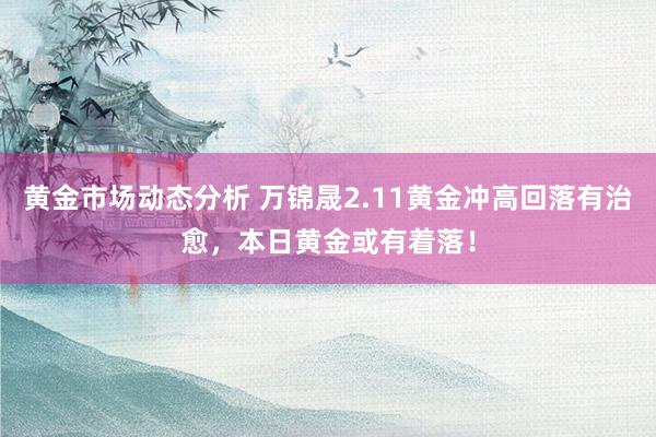 黄金市场动态分析 万锦晟2.11黄金冲高回落有治愈，本日黄金或有着落！