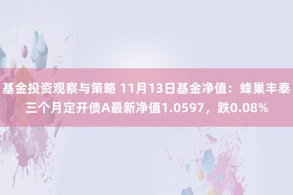 基金投资观察与策略 11月13日基金净值：蜂巢丰泰三个月定开债A最新净值1.0597，跌0.08%