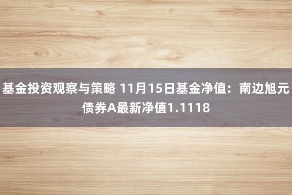 基金投资观察与策略 11月15日基金净值：南边旭元债券A最新净值1.1118